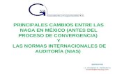 PRINCIPALES CAMBIOS ENTRE LAS NAGA EN MÉXICO (ANTES DEL PROCESO DE CONVERGENCIA) Y LAS NORMAS INTERNACIONALES DE AUDITORÍA (NIAS) EXPOSITOR L.C. EDUARDO.
