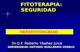 FITOTERAPIA: SEGURIDAD Dr.Q.F. Roberto Ybañez Julca UNIVERSIDAD ANTONIO GUILLERMO URRELO HEPATOTOXICIDAD.