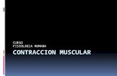 CURSO FISIOLOGIA HUMANA. FUNCIONES DE LOS MUSCULOS  -Producción de movimiento  -Movimiento de sustancias dentro del cuerpo.  -Mantenimiento de la postura.