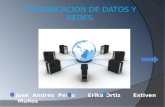 COMUNICACION DE DATOS Y REDES José Andrés Petro Erika Ortiz Estiven Muños.