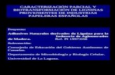CARACTERIZACIÓN PARCIAL Y BIOTRANSFORMACIÓN DE LIGNINAS PROVENIENTES DE INDUSTRIAS PAPELERAS ESPAÑOLAS Proyecto: Adhesivos Naturales derivados de Lignina.