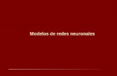 Modelos de redes neuronales. Modelos Neuronales Representación conceptual de datos concernientes a neuronas o sistemas de ellas. Características. Formadas.