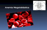 Anemia Megaloblástica. causadas por deficiencia de Folato o vitamina B tienen en común una alteración en la síntesis del ADN. Anemias Megaloblásticas.