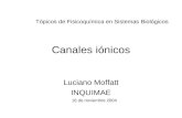 Canales iónicos Luciano Moffatt INQUIMAE Tópicos de Fisicoquímica en Sistemas Biológicos 16 de noviembre 2004.