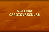 SISTEMA CARDIOVASCULAR. El sistema circulatorio tiene como función principal el aporte y remoción de gases, nutrientes, hormonas, etc. de los diferentes.