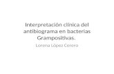 Interpretación clínica del antibiograma en bacterias Grampositivas. Lorena López Cerero.