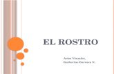 EL ROSTRO Artes Visuales, Katherine Barraza N.. E L ROSTRO Expresión Postura Gesto Actitud Proporciones.
