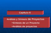 Capítulo 6 Análisis y Síntesis de Proyectos Síntesis de un Proyecto Análisis de proyectos.