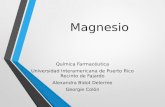 Magnesio Química Farmacéutica Universidad Interamericana de Puerto Rico Recinto de Fajardo Alexandra Bidot Delerme Georgie Colón.