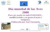 Día mundial de las Aves 2008 Para ser usado en todo FIADASEC, modificándolo a su gusto el texto e imágenes. Elaborado por José Tortajada FIADASEC.