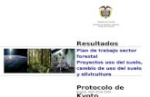 Plan de Trabajo Proyectos LULUCF Resultados Plan de trabajo sector forestal Proyectos uso del suelo, cambio de uso del suelo y silvicultura Protocolo de.