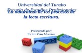 La naturaleza de los procesos de la lecto escritura. Presentado por: Yaritza Díaz Martínez Universidad del Turabo Escuela de Estudios Profesionales.