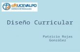 Diseño Curricular Patricio Rojas González. Objetivos Generar un espacio de conversación sobre el Diseño del Currículum Diseñar un ejemplo de currículum.