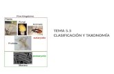 TEMA 5.5 CLASIFICACIÓN Y TAXONOMÍA. Objetivos BI Describir los siguientes grupos de seres vivos: porifera, cnidaria, platelmintos, anelida, mollusca y.