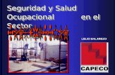 Seguridad y Salud Ocupacional en el Sector LELIO BALAREZO.