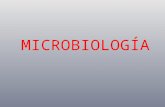 MICROBIOLOGÍA. Es la ciencia que se centra en el estudio de organismos microscópicos. Este estudio comprende la identificación y clasificación de los.