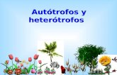 Autótrofos y heterótrofos Autótrofos y heterótrofos.