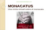 MONACATUS Una visita virtual sobre el monacato .