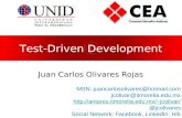 Test-Driven Development Juan Carlos Olivares Rojas MSN: juancarlosolivares@hotmail.com jcolivar@itmorelia.edu.mx jcolivar