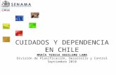 CUIDADOS Y DEPENDENCIA EN CHILE MARÍA TERESA ABUSLEME LAMA División de Planificación, Desarrollo y Control Septiembre 2010.