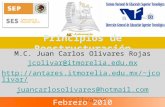 Principios de Reestructuración M.C. Juan Carlos Olivares Rojas jcolivar@itmorelia.edu.mx jcolivar/ juancarlosolivares@hotmail.com.
