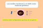 10/05/2015 1 Los ácidos nucleicos y el ADN como material genético Historia sobre la Naturaleza química de los genes.