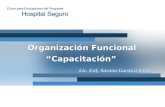 Organización Funcional “Capacitación” Lic. Enf. Susana Garnica Soria.