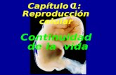 Chapter 11 Continuidad de la vida Capítulo 1: Reproducción celular.