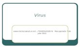 Virus 2029.% Recuperado 7 de julio 2011.