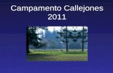 Campamento Callejones 2011. 1. Descripción General de la Actividad 2. Locación 3. Medidas de Seguridad 4. Participantes del Campamento 5. Costos Campamento.