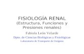 FISIOLOGÍA RENAL (Estructura, Funciones y Presiones renales) Fabiola León Velarde Dpto. de Ciencias Biológicas y Fisiológicas Laboratorio de Transporte.