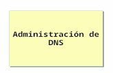 Administración de DNS.  Descripción general Introducción al proceso de consulta en DNS Creación de zonas Configuración de zonas Configuración de actualizaciones.