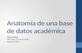 Anatomía de una base de datos académica Lluís Codina Lluís Codina UPF Dep. Comunicación Febrero 2011.