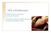HIV y Embarazo Cordón Maria Guadalupe Lucila Domínguez Internado rotatorio 2008: obstetricia Hospital Santojanni UCES.