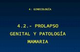 1 4: GINECOLOGÍA 4.2.- PROLAPSO GENITAL Y PATOLOGÍA MAMARIA.