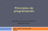 Principios de programación LIA. Suei Chong Sol, MCE. Sentencias de Control Repetitivas.