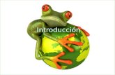 ©2009 Rainforest Alliance IntroducciónIntroducción Idioma: Español Versión: 2011.