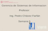 Profesor: Ing. Pedro Chávez Farfán Semana 5 Gerencia de Sistemas de Informacion.