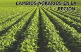 CAMBIOS AGRARIOS EN LA REGIÓN. Cambios en el sector agrario  El sistema agrario presento en América Latina cambios profundos durante finales del siglo.