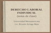 DERECHO LABORAL INDIVIDUAL (notas de clase) Universidad Mesoamericana Lic. Ricardo Arriaga Mata.