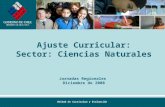 Unidad de Currículum y Evaluación Ajuste Curricular: Sector: Ciencias Naturales Jornadas Regionales Diciembre de 2008.