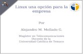 Linux una opción para la empresa Por Alejandro M. Mellado G. Magíster en Telecomunicaciones Docente de la Universidad Católica de Temuco.