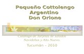 Pequeño Cottolengo Argentino Don Orione Catálogo de Tarjetas de saludos Navideños y Año Nuevo. Tucumán – 2010.