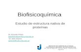 Biofisicoquímica Estudio de estructura nativa de proteínas I NSTITUTO DE C IENCIAS DE LA S ALUD U NIVERSIDAD N ACIONAL A RTURO J AURETCHE Av. Lope de Vega.