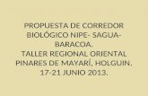 PROPUESTA DE CORREDOR BIOLÓGICO NIPE- SAGUA- BARACOA. TALLER REGIONAL ORIENTAL PINARES DE MAYARÍ, HOLGUIN. 17-21 JUNIO 2013.