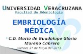 C.D. María de Guadalupe Gloria Moreno Cabrera U NIVERSIDAD V ERACRUZANA Facultad de Odontología Viernes 31 de Mayo del 2013.