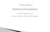 Practica Medica Sistema Circulatorio Dr. Arturo Rosales Guerra Alumno: Leonardo Daniel Castillo Delgado.