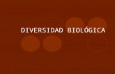 DIVERSIDAD BIOLÓGICA. NIVELES DE ORGANIZACIÓN DE LOS SERES VIVOS Nivel molecular Nivel celular Nivel orgánico Nivel de población Nivel de ecosistema.