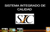 SISTEMA INTEGRADO DE CALIDAD. En la Universidad de San Buenaventura seccional Medellín (USB), el Sistema de Gestión de la Calidad (S.G.C), se desarrolla.