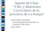 Prof.Pablo Camiletti Universidad Nacional de La Pampa (UNLPam) Año 2002 Apunte de Clase “CBC y Materiales Curriculares de la provincia de La Pampa”